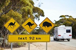 Read more about the article Australia’s 10 most iconic road trips