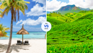 Read more about the article Goa vs Kerala: which to choose?