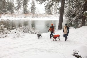 Read more about the article Ask a local about Bend, Oregon