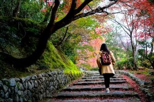 Read more about the article When to plan a trip to Kyoto