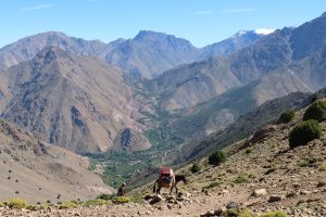 Read more about the article Escape to the Peaks: Unforgettable Day Trips to the Atlas Mountains from Marrakech