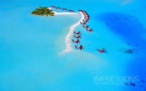 Read more about the article The Most Unique Seaplane aerial photo shot in the Maldives