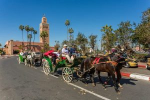 Read more about the article The best ways to travel around in Marrakesh