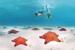 Read more about the article The best places to visit in Honduras for reef and jungle adventures