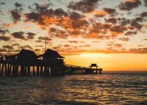 Read more about the article 12 Best Day Trips from Naples Florida