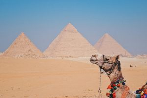 Read more about the article How to Make the Best of Your Coming Tour to Egypt