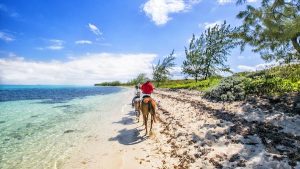 Read more about the article 17 of the best things to do in Grand Cayman beyond Seven Mile Beach