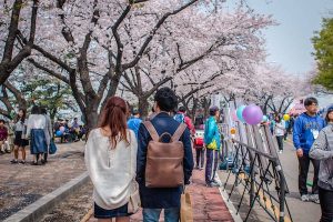 Read more about the article Getting around Seoul is easy for first-timers with these tips