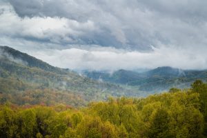 Read more about the article 9 Tips for the Best Family Vacation in the Smokies