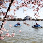 8 things to know before a trip to Washington, DC