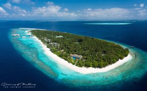 Read more about the article The Maldives Resorts With A Dreamy House Reef For Snorkeling
