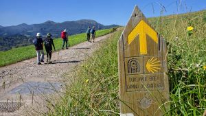 Read more about the article Choose the best Camino de Santiago pilgrimage route for you