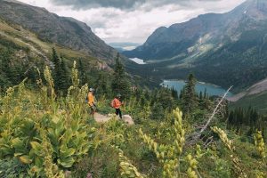 Read more about the article Leave No Trace: 8 principles to keep in mind