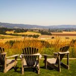 A guide to the Willamette Valley, Oregon: wine tasting, hikes and festivals