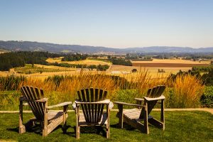 Read more about the article A guide to the Willamette Valley, Oregon: wine tasting, hikes and festivals