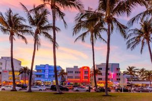Read more about the article Best time to visit Miami