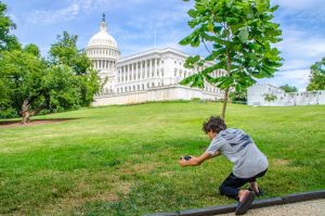 Read more about the article The best things in Washington, DC with kids