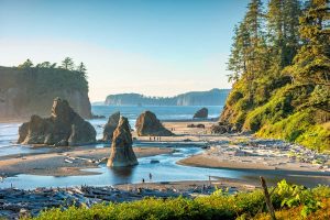 Read more about the article A first-timer’s guide to Olympic National Park, Washington