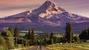 Read more about the article Amazing Oregon road trips