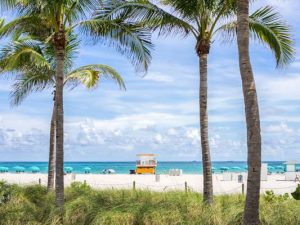 Read more about the article 9 of the best free things to do in Miami