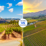 Napa vs Sonoma: which to choose?