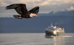 Read more about the article Help me, LP! How do I use the Alaska Marine Highway?