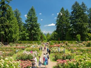 Read more about the article The best time to visit Oregon for festivals, flowers and outdoorsy adventures
