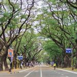 Local Strolls: explore Quezon City in Metro Manila on foot