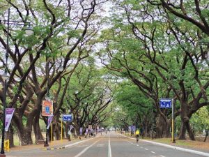 Read more about the article Local Strolls: explore Quezon City in Metro Manila on foot