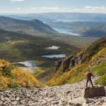 Guide to Newfoundland – Lonely Planet