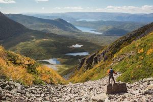 Read more about the article Guide to Newfoundland – Lonely Planet