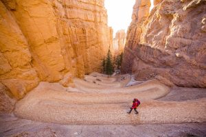 Read more about the article The ultimate first-timer’s guide to Bryce Canyon National Park