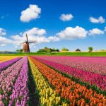 Experience the Netherlands on a budget with these 10 money-saving tips