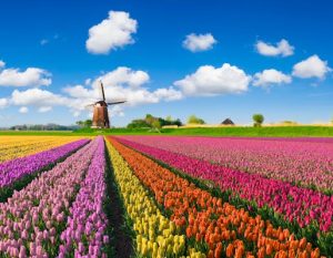 Read more about the article Experience the Netherlands on a budget with these 10 money-saving tips