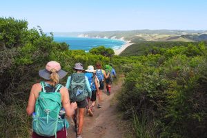 Read more about the article A day hiker’s guide to Australia’s Great Ocean Walk