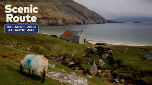 Read more about the article Coasts, Castles and Culture: 9 days on the Wild Atlantic Way