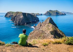 Read more about the article The ultimate guide to California’s Channel Islands