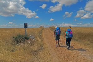 Read more about the article Essential Guide to Walking the Camino del Norte Route