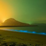 Condor resumes summer flights to the Maldives from Germany for 2026 season