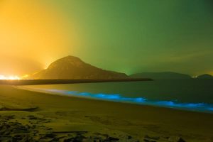 Read more about the article 9 of the best places in the world to see bioluminescence – Lonely Planet