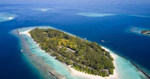 Read more about the article Royal Island to Lead Reef Cleaning Initiative in Baa Atoll