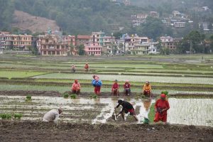 Read more about the article Copy My Trip: a homestay tour of the Kathmandu Valley, Nepal