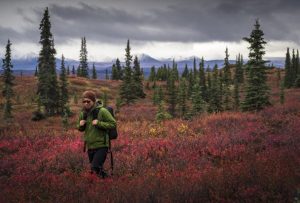 Read more about the article The best hikes in Alaska