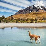 18 of the best things to do in Patagonia