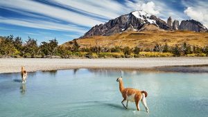 Read more about the article 18 of the best things to do in Patagonia