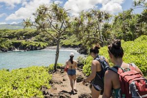 Read more about the article A first timer’s guide to Maui