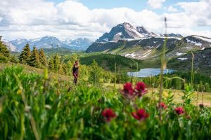 Read more about the article 8 of Banff National Park’s best day hikes