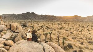 Read more about the article Joshua Tree National Park: a thorough guide