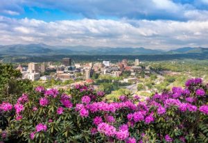 Read more about the article 17 of the best things to do in and around Asheville, North Carolina