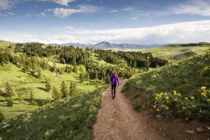 Read more about the article Best hikes in Bozeman – Lonely Planet